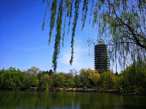 北京大学校园景色