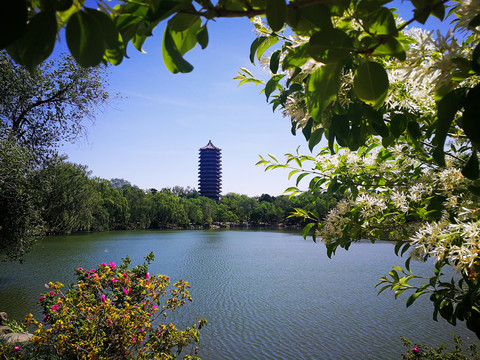 北京大学