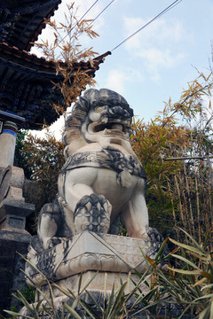云龍虎山