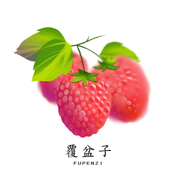 覆盆子手繪