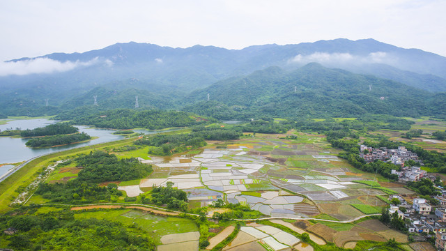 田园