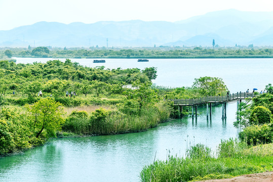 下渚湖国家湿地公园