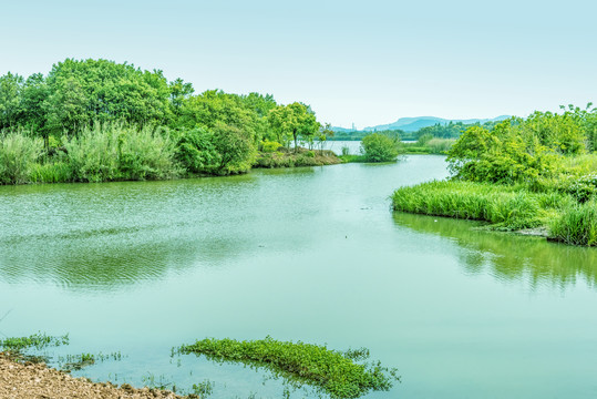 下渚湖国家湿地公园