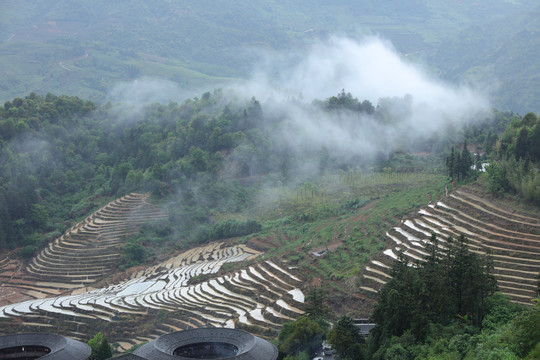 田螺坑土楼