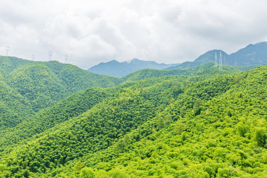 竹山