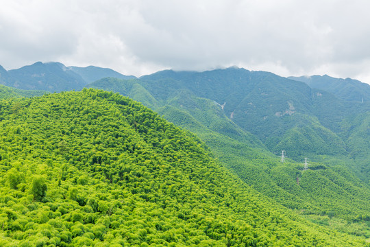 竹山