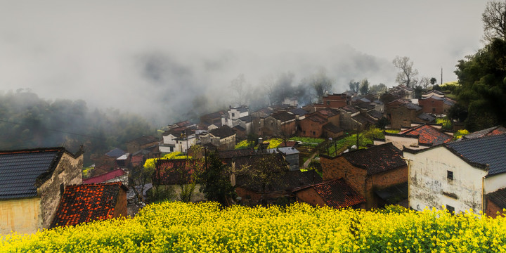 婺源龙池肽