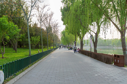 北京陶然亭公园步道