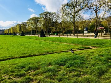 巴黎草坪