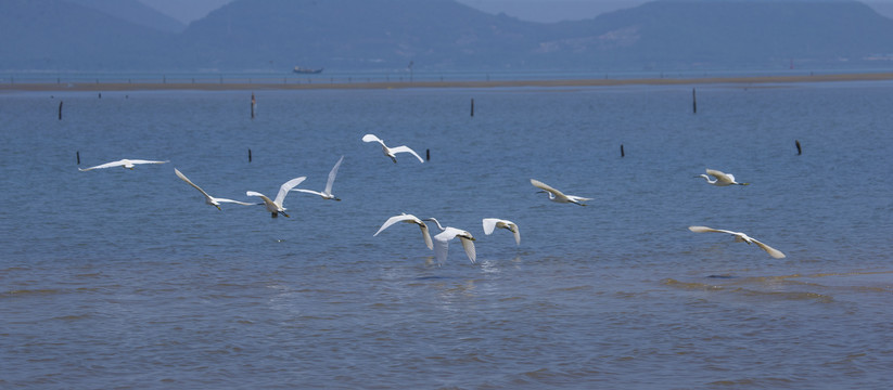 湿地公园