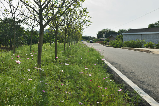 乡村公路