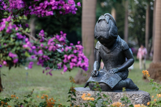 广州雕塑公园簕杜鹃展