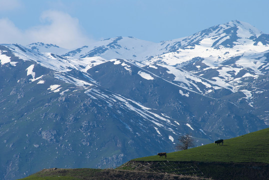 雪山