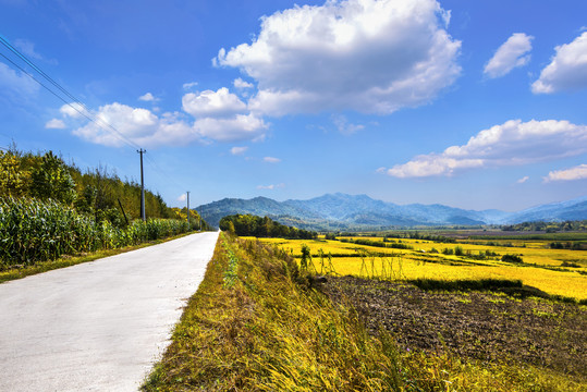 远山农田