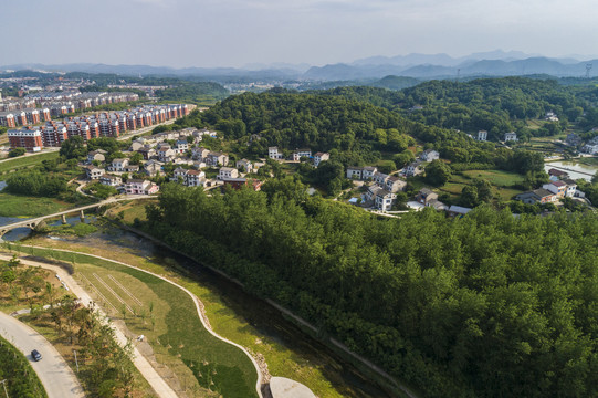 城市绿化建设