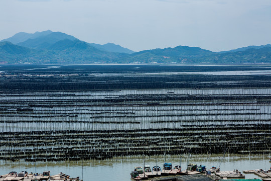 霞浦