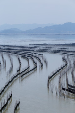 霞浦