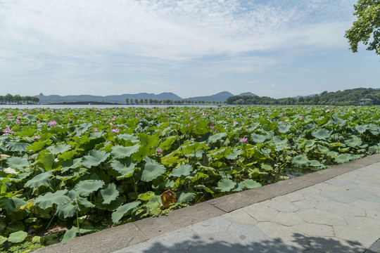 西湖山水风光