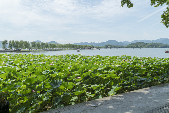 西湖山水风光