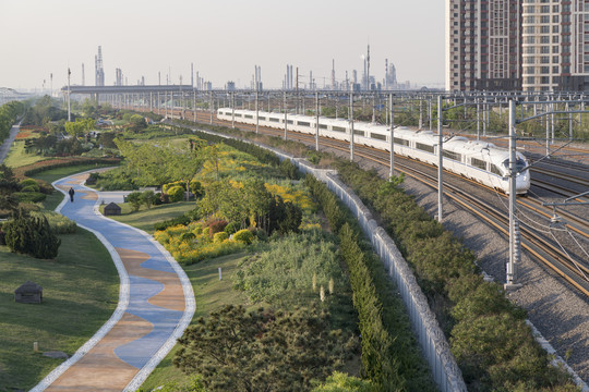 道路绿化带