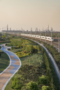 道路绿化带