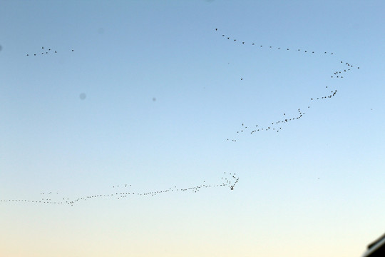 鄱阳湖风光