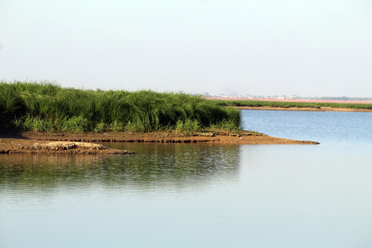 鄱阳湖风光