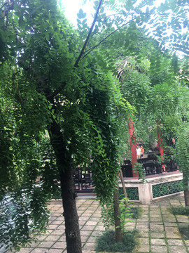 清晖书院绿化景观