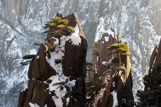 黄山冬景