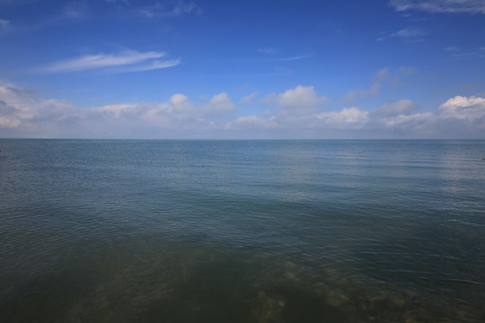 青海留念油菜花田园美景