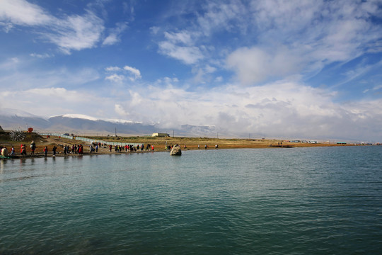 青海留念油菜花田园美景