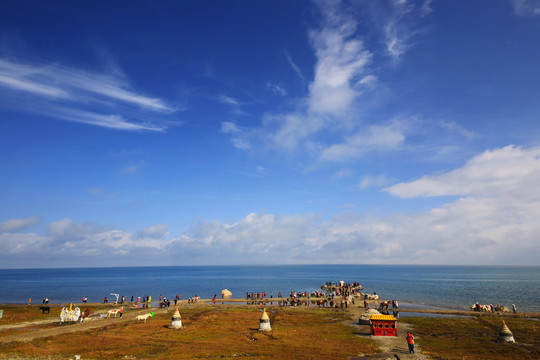 青海留念油菜花田园美景