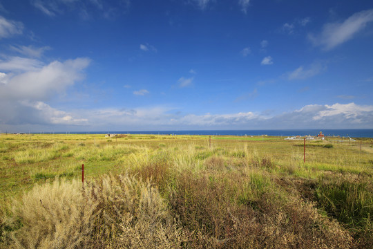 青海留念油菜花田园美景