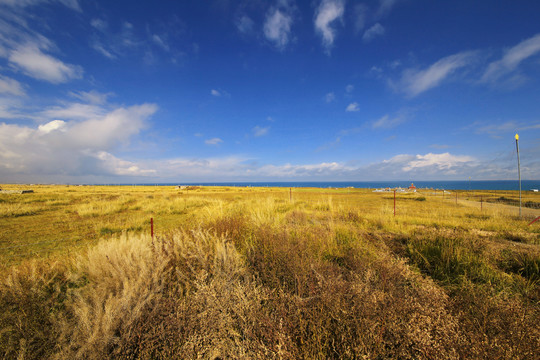 青海留念油菜花田园美景