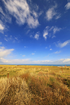 青海留念油菜花田园美景