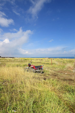 青海留念油菜花田园美景