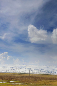 青藏高原蓝天白云雪山草地