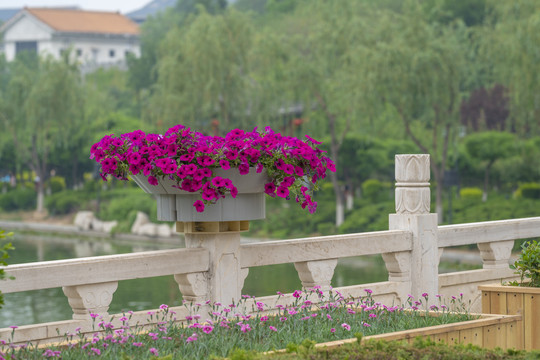 花卉桥栏装饰