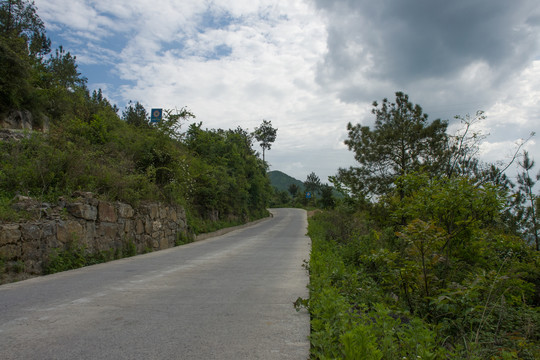 西部山区公路与森林植被