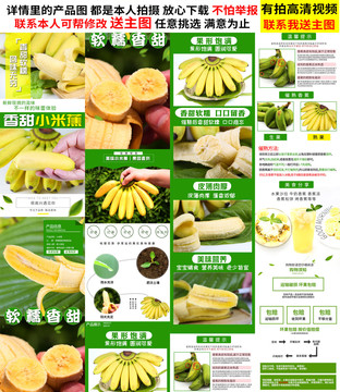 小米蕉詳情