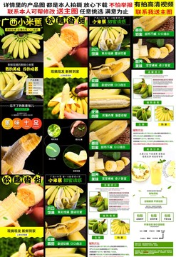 小米蕉詳情