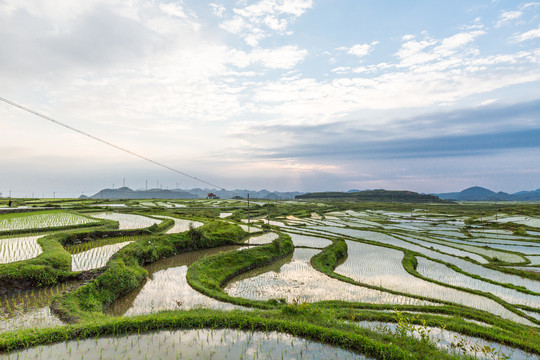 贵阳云顶草原