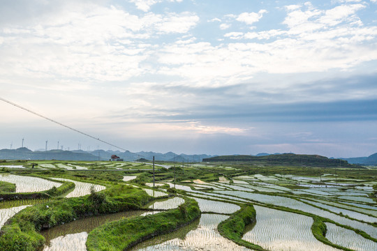 贵阳云顶草原