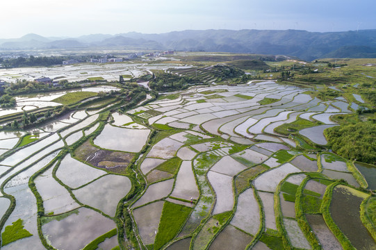 贵阳高坡云顶