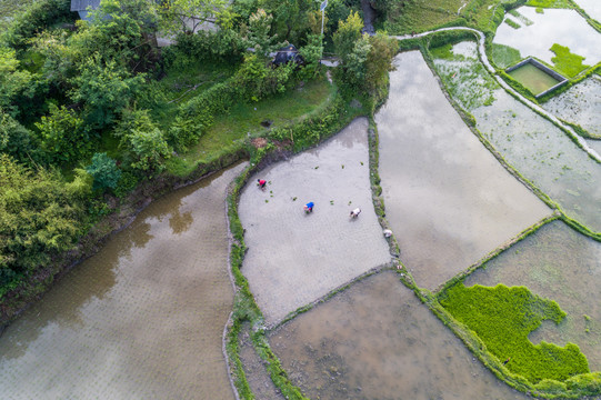 贵阳高坡云顶