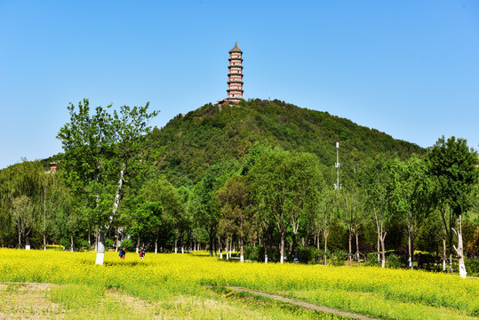 北坞玉泉山