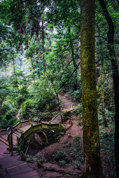 青城山山路石桥