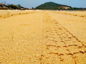 沙滩车胎纹