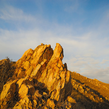 荒山