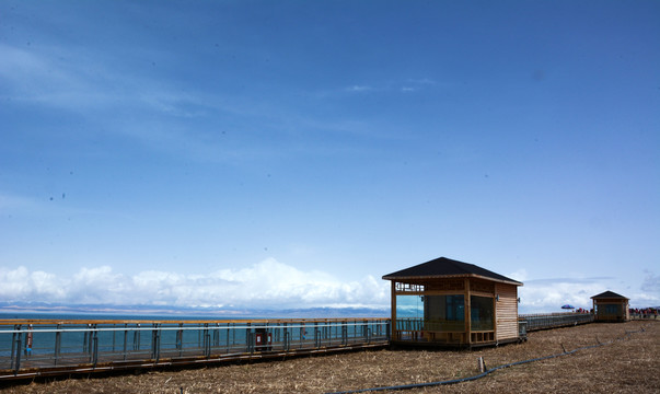 青海湖风景